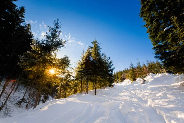 Beau Panorama Pris Dans Les Montagnes Polonaises Beskidy Sur Chemin — Photo