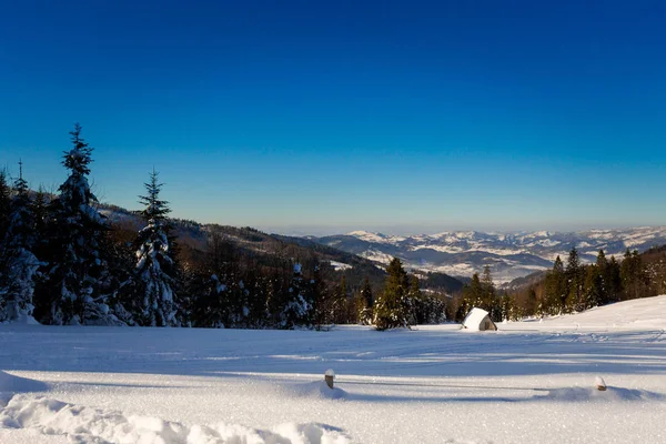 Vackra Panorama Polska Bergen Beskidy Väg Till Rysianka Snöiga Vintern — Stockfoto