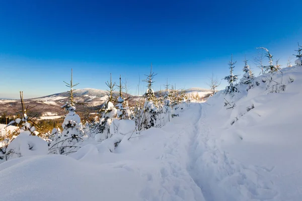 Mooi Panorama Genomen Pools Bergen Beskidy Onderweg Naar Rysianka Besneeuwde — Stockfoto