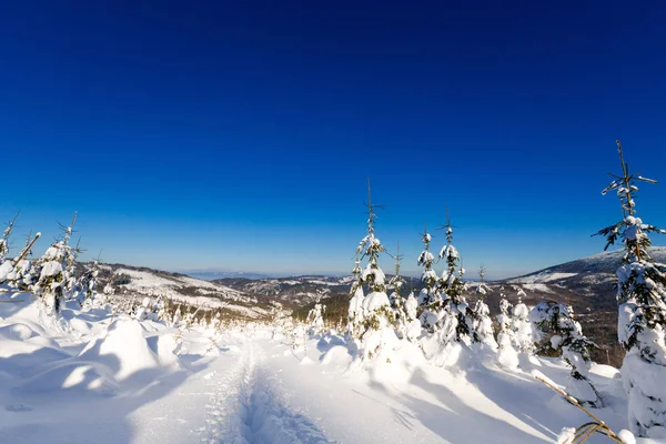 Gyönyörű Panoráma Hozott Lengyel Beskidy Mountains Módja Annak Hogy Rysianka — Stock Fotó