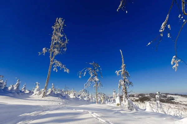 Mooi Panorama Genomen Pools Bergen Beskidy Onderweg Naar Rysianka Besneeuwde — Stockfoto