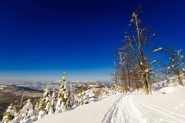 Beautiful Panorama Taken Polish Mountains Beskidy Way Rysianka Snowy Winter — Stock Photo, Image