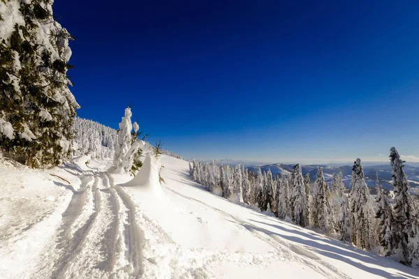 Piękna Panorama Wykonana Polskich Górach Beskidy Drodze Rysianka Zimą Śnieg — Zdjęcie stockowe