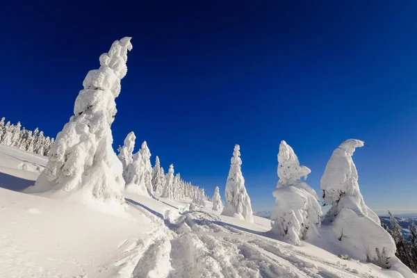 Mooi Panorama Genomen Pools Bergen Beskidy Onderweg Naar Rysianka Besneeuwde — Stockfoto