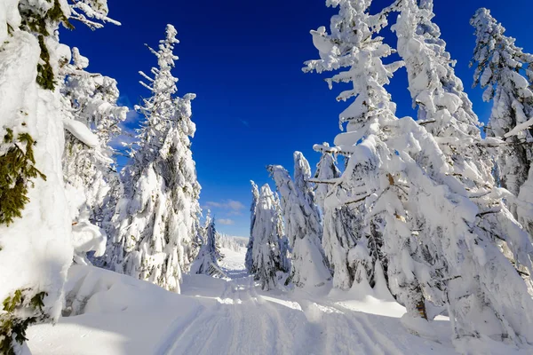 Beautiful Panorama Taken Polish Mountains Beskidy Way Rysianka Snowy Winter — Stock Photo, Image