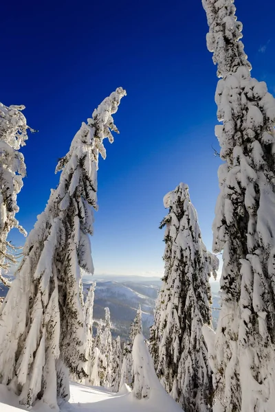 Mooi Panorama Genomen Pools Bergen Beskidy Onderweg Naar Rysianka Besneeuwde — Stockfoto