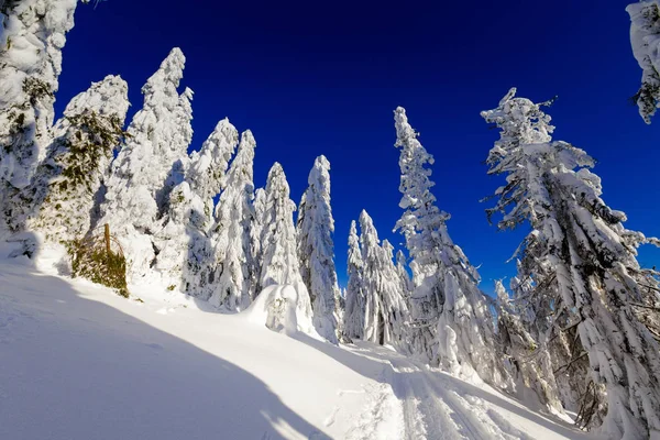 Belo Panorama Tomado Montanhas Polonesas Beskidy Caminho Rysianka Durante Inverno — Fotografia de Stock