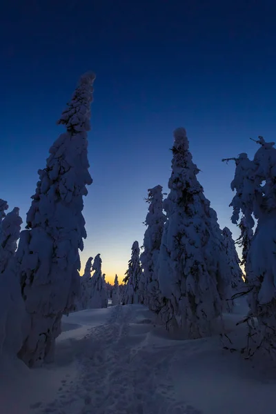 Belo Panorama Tomado Montanhas Polonesas Beskidy Caminho Rysianka Durante Inverno — Fotografia de Stock