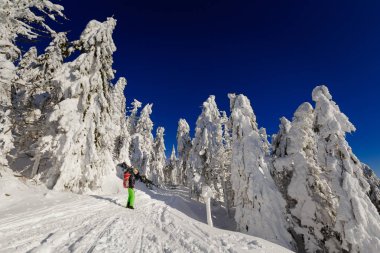 Güzellikler uzun alınan trekking sahip genç turist ile Lehçe dağlar Beskidy Rysianka giderken karlı kış aylarında. İnsanlarla manzara.