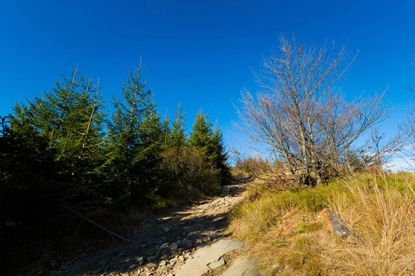 Bellissimo Panorama Sulle Montagne Polacche Beskidy Sulla Strada Skrzyczne Bialy — Foto Stock