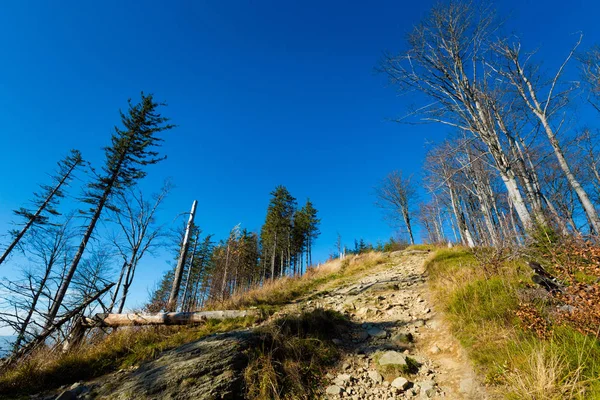 Bellissimo Panorama Sulle Montagne Polacche Beskidy Sulla Strada Skrzyczne Bialy — Foto Stock