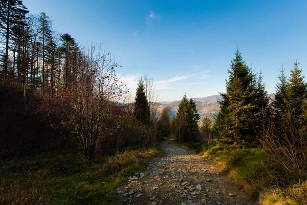 Krásné Panorama Polské Hory Beskydy Cestě Skrzyczne Bialy Krzyz Malinowska — Stock fotografie