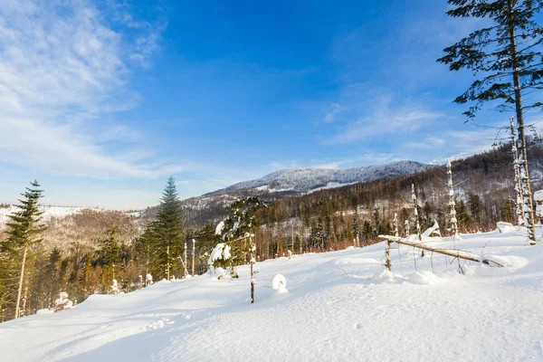 Gyönyörű Panorámával Havas Téli Lengyel Hegyekben Beskidy Hala Lipowska Során — Stock Fotó