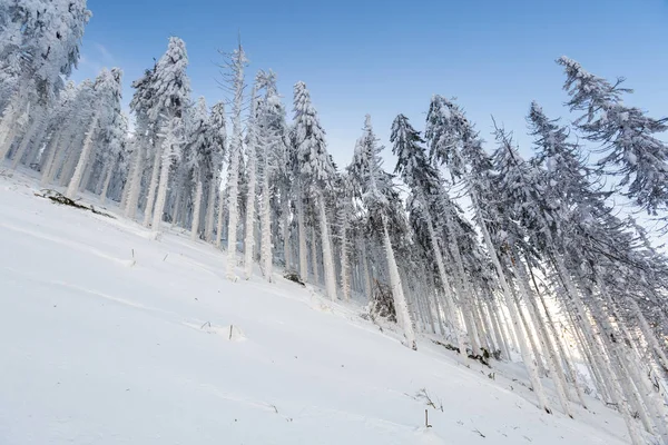 Beautiful Panorama Taken Polish Mountains Beskidy Way Hala Lipowska Snowy — Stock Photo, Image
