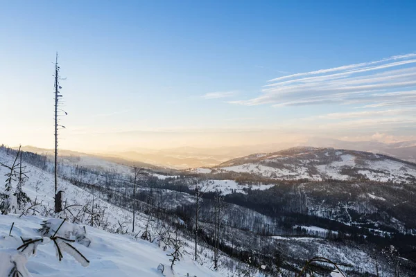 Hermoso Panorama Tomado Las Montañas Polacas Beskidy Camino Hala Lipowska — Foto de Stock