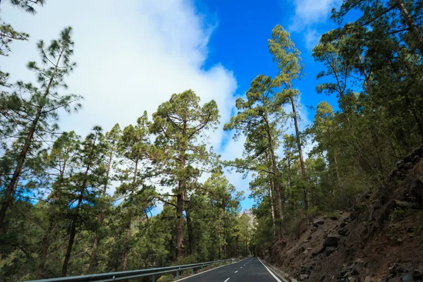 テネリフェ島の美しい道路 - エル テイデ — ストック写真