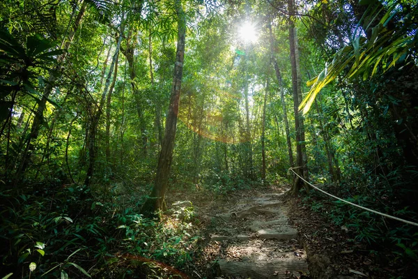Koh Kood tropikal peyzaj