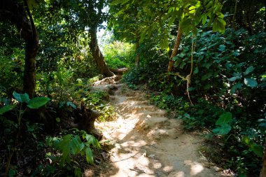 Kuang Si şelale Luang Prabang