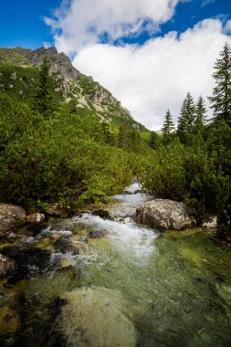 Rysy Tatra dağlarına giden yol