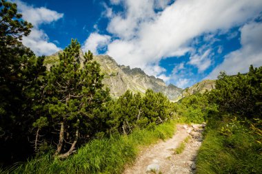 Rysy Tatra dağlarına giden yol