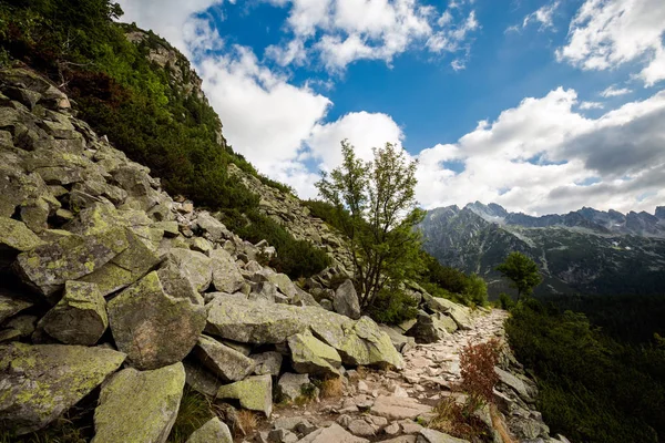 Weg in die raue Tatra — Stockfoto