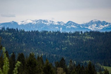 Güzel sisli Gorce dağları manzara