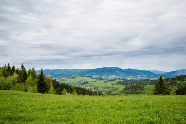 Vackra dimmigt Gorce Mountains landskap — Stockfoto