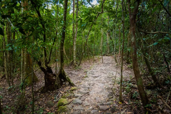 Zomer Landschap Tropisch Phu Quoc Eiland Vietnam Prachtig Panorama Van — Stockfoto