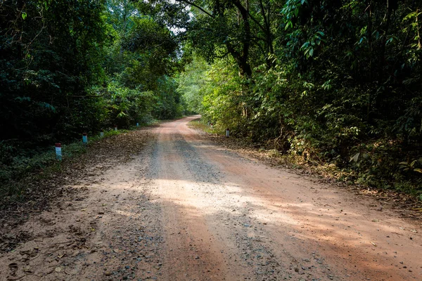 Letni Krajobraz Tropikalnej Wyspie Phu Quoc Wietnamie Piękna Droga Motocyklowa — Zdjęcie stockowe