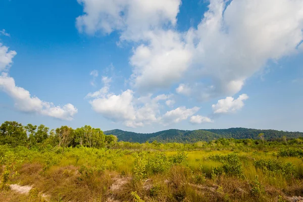 Hermoso Paisaje Soleado Tomado Paraíso Playa Estrellas Mar Rach Vem —  Fotos de Stock