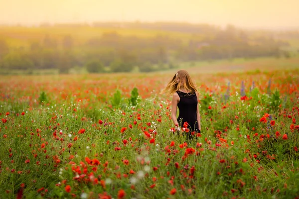 Attraktive Junge Frau Entspannt Sich Einem Schönen Roten Mohnfeld Land — Stockfoto