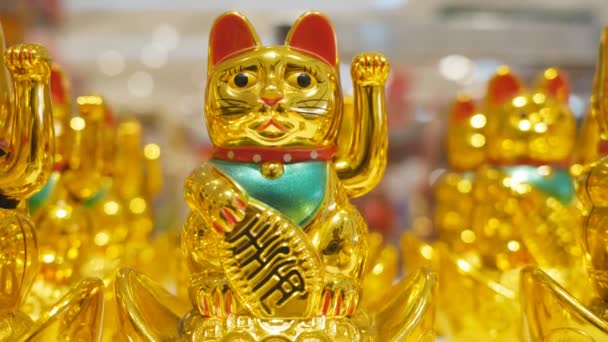 日本の黄金招き猫 — ストック動画