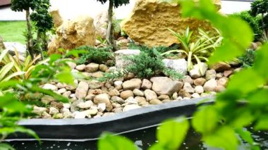 Balık havuzunda bir ağaç