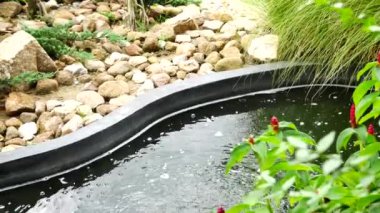 Balık havuzunda bir ağaç