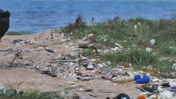 浜辺でゴミ拾いをしている男 — ストック動画
