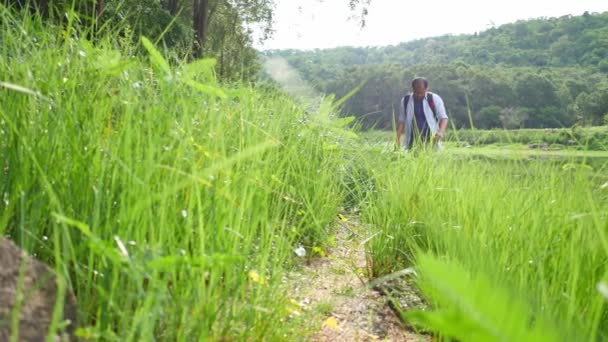 旅人は小川のある森を歩いている — ストック動画