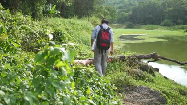 Viajante Está Caminhando Uma Floresta Com Riacho — Vídeo de Stock