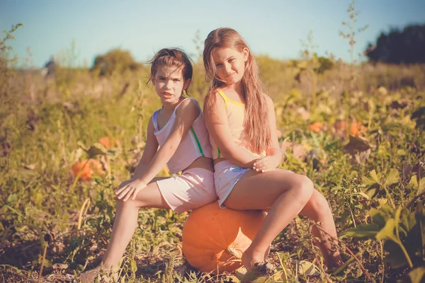 Duas Raparigas Estão Sentadas Numa Abóbora Campo Halloween — Fotografia de Stock