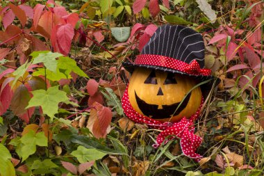 Komik Cadılar Bayramı Balkabağı sonbahar çimenlerin üzerinde 