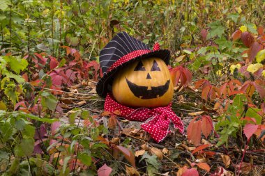 Komik Cadılar Bayramı Balkabağı sonbahar çimenlerin üzerinde 