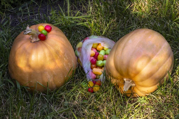 Dos Calabazas Maduras Halloween Dulces Coloridos —  Fotos de Stock