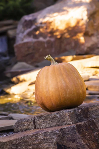 Calabaza Halloween Naranja Madura Las Piedras —  Fotos de Stock