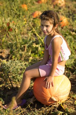 Balkabağına alanında üzerinde oturan kız. Cadılar Bayramı