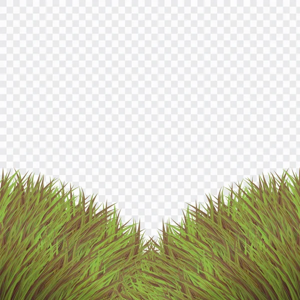 Plantilla Verde Vintage Hierba Bush Estilo Realista Fondo Aislado Blanco — Vector de stock