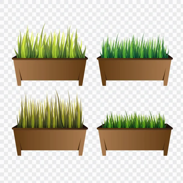 在独立背景下的花盆中设置绿色的草 家庭装饰元素的设计 矢量插图 — 图库矢量图片
