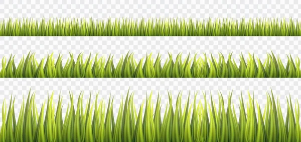 Set Beautiful Green Grass Borders White Isolated Background Vector Illustration — Stock Vector