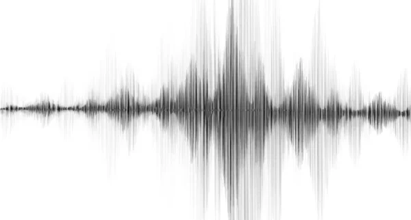 Black White Earthquake Wave White Paper Achtergrond Geluidsgolf Diagram Concept — Stockvector