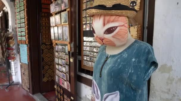 Souvenir shop with cat face — Stock Video