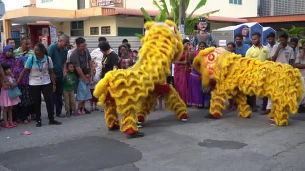 Indio y chino interés león danza — Vídeo de stock