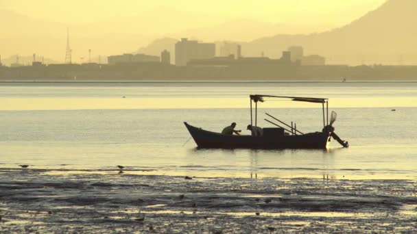 Dos pescadores pescan en el mar. Aves acuáticas buscan comida en la orilla del mar — Vídeo de stock